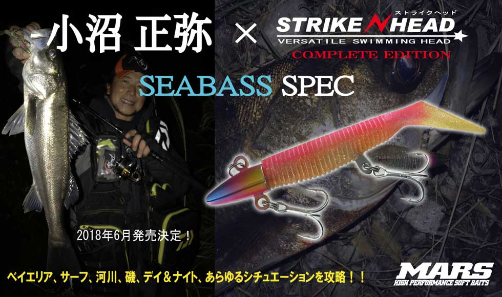 SHCE_seabass